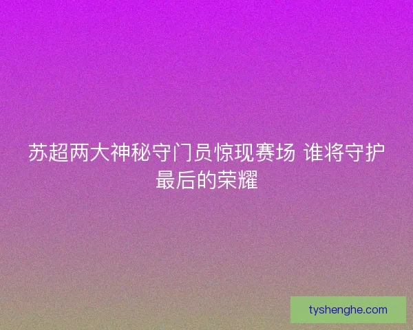 苏超两大神秘守门员惊现赛场 谁将守护最后的荣耀