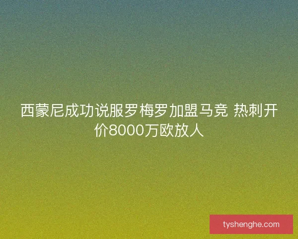 西蒙尼成功说服罗梅罗加盟马竞 热刺开价8000万欧放人
