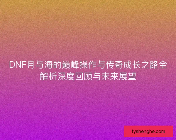 DNF月与海的巅峰操作与传奇成长之路全解析深度回顾与未来展望