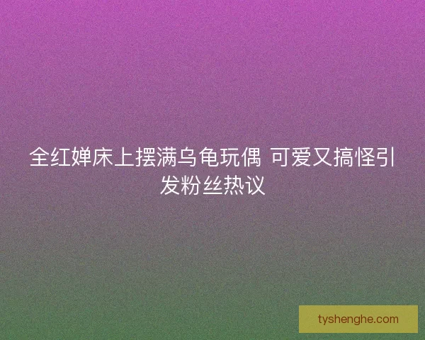 全红婵床上摆满乌龟玩偶 可爱又搞怪引发粉丝热议