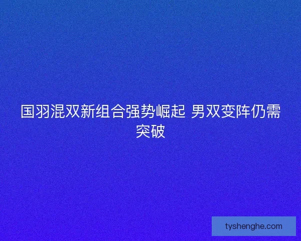 国羽混双新组合强势崛起 男双变阵仍需突破